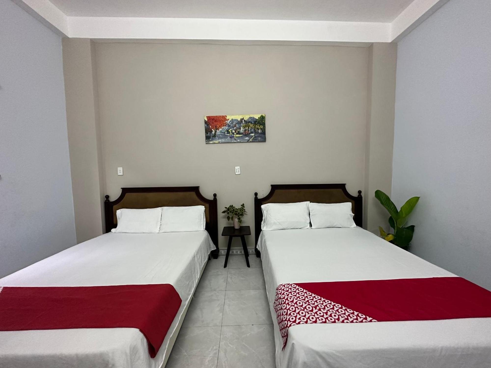 Oyo 1187 Suoi Da Motel ダナン市 エクステリア 写真