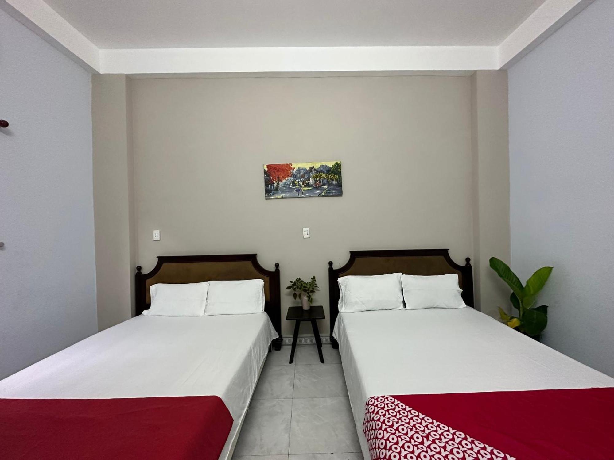 Oyo 1187 Suoi Da Motel ダナン市 エクステリア 写真